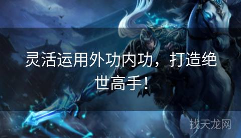 灵活运用外功内功，打造绝世高手！