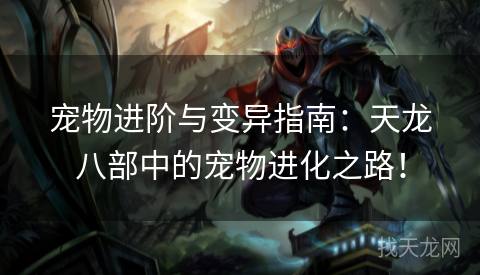 宠物进阶与变异指南:天龙八部中的宠物进化之路! 宠物进阶与变异指南:天龙八部中的宠物进化之路!