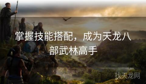 掌握技能搭配,成为天龙八部武林高手 掌握技能搭配,成为天龙八部武林高手