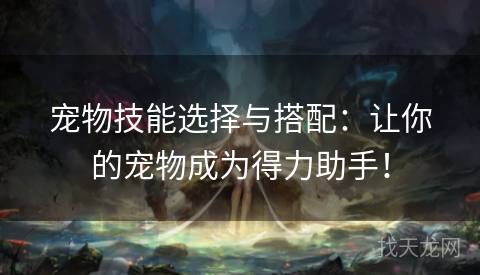 宠物技能选择与搭配：让你的宠物成为得力助手！