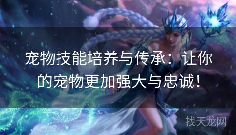 宠物技能培养与传承：让你的宠物更加强大与忠诚！