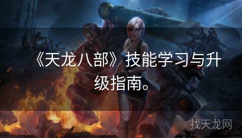 《天龙八部》技能学习与升级指南。