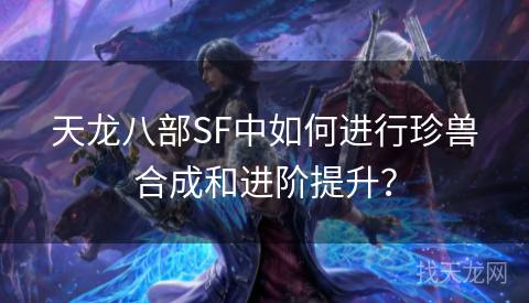 天龙八部SF中如何进行珍兽合成和进阶提升？
