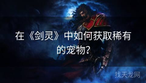在《剑灵》中如何获取稀有的宠物？