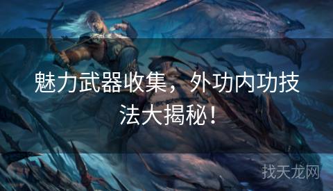 魅力武器收集，外功内功技法大揭秘！