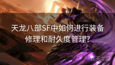 天龙八部SF中如何进行装备修理和耐久度管理？