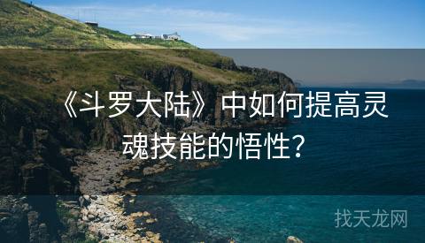 《斗罗大陆》中如何提高灵魂技能的悟性？